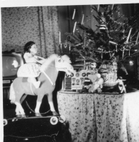 DP289