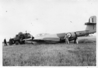 DQ079