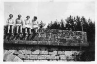 DQ136