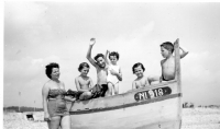 DQ194