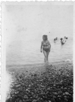 DQ206