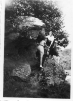 DQ227