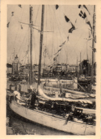 DQ237
