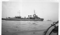 DQ243