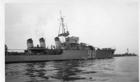 DQ244
