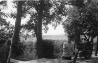 DQ284