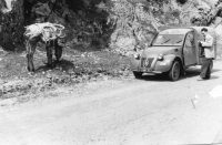 DQ289