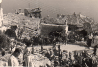 DQ290