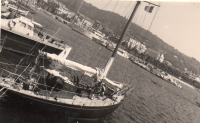 DQ292