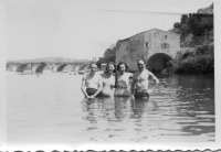 DQ295
