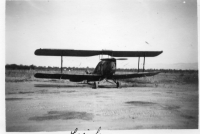 DQ839