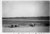 DQ855