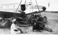 DQ872