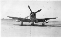DQ875