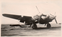 DQ879