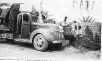 DQ895