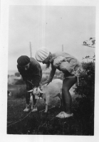 DR216