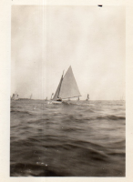 DR236