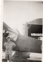 DR291