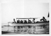 DR300