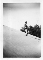 DR359