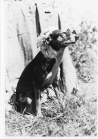 DR469