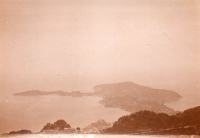 DR558