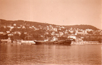 DR561