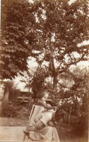 DR565
