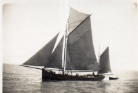 DR855