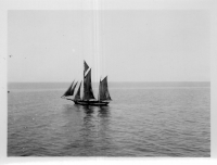DR879