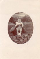 DZ317