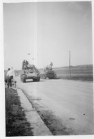 DZ338