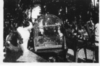 EA835