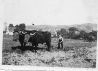 EA903