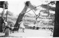EC956