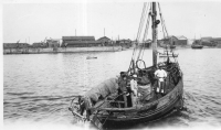 ED186