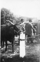 ED191