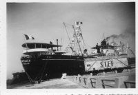 ED195