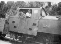 ED304
