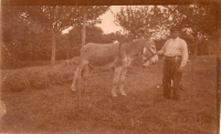 ED825
