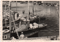 EE067