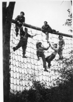 EE239