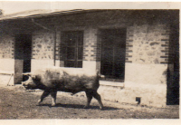 EE488