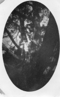 EE491