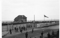 EG868
