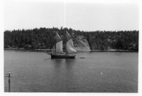 EG869