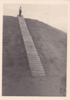 NB234