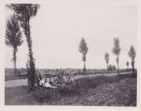 NB336