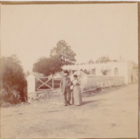 NC498